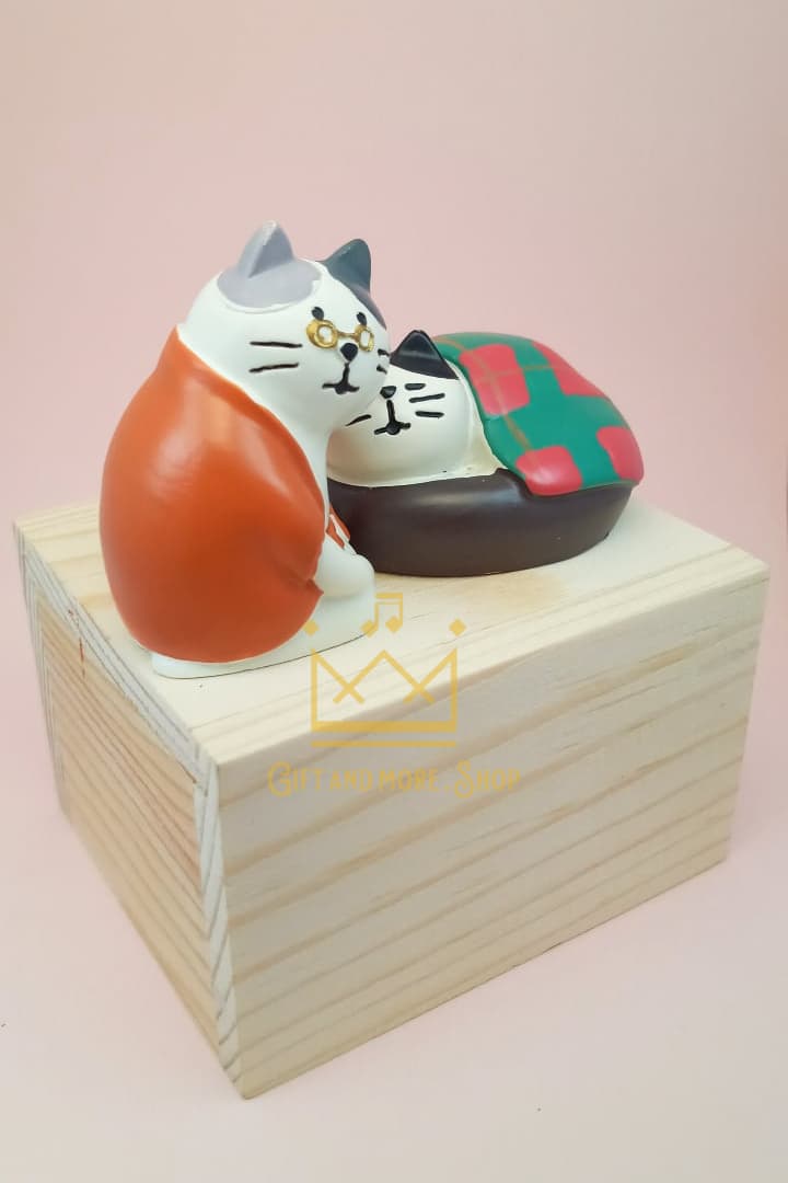 Grandma cat music box