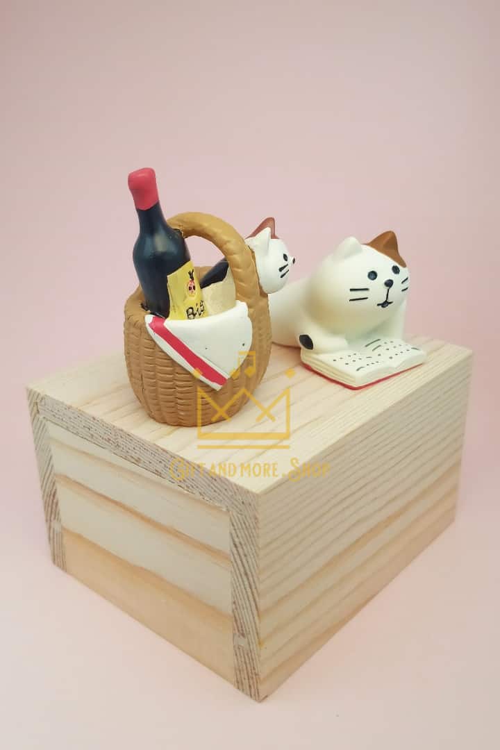 Cat reading music box